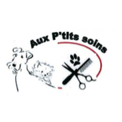 Aux P