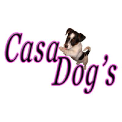 Casa Dog